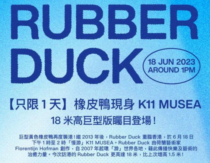 K11-黃鴨