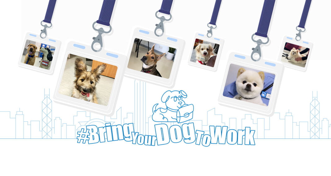 香港愛護動物協會推動「帶狗狗上班」