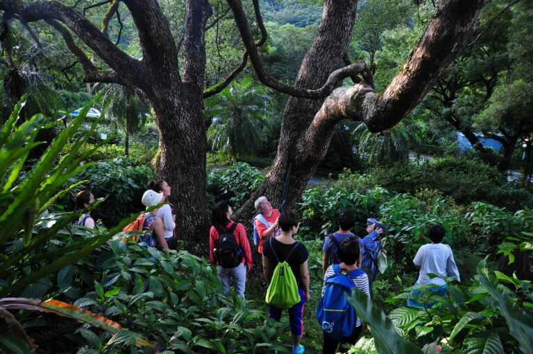 嘉道理農場暨植物園「連繫大自然律動」工作坊