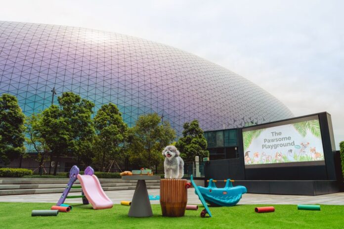 香港啟德帝盛酒店六月呈獻 adidas 天際瑜珈工作坊 及寵物友善樂園「The Pawsome Playground」