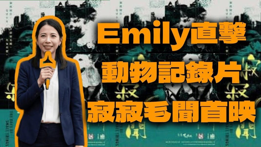 YouTuber 頻道《大肥看天下》「特約記者」Emily專訪《寂寂毛聞》導演Wallnex，講述如何用十年時間拍成這套救援毛孩的淚與汗電影