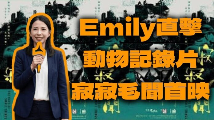 WhatsApp Image 2026-05-28 at 18.52.24 YouTuber 頻道《大肥看天下》「特約記者」Emily專訪《寂寂毛聞》導演Wallnex,講述如何用十年時間拍成這套救援毛孩的淚與汗電影